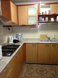 Carissa Park Condominium (D17), Condominium #523168511